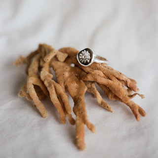 Bague OURSIN