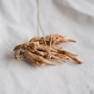 Pendentif CORAIL or vermeil