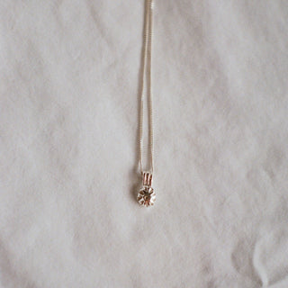 Pendentif OURSIN argent