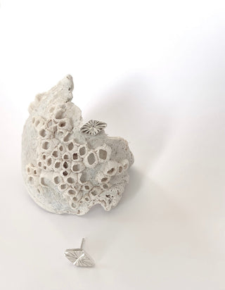 Studs RAYONS argent