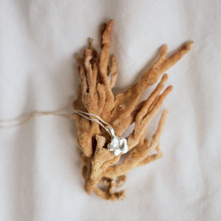 Bijoux